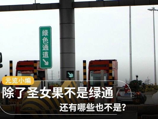 j9九游会app科普：除了圣女果不是绿通 还有哪些也不是？